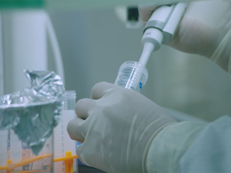 Mrna Rsv 백신의 체액 및 세포 면역은 국제적으로 시판되는 제품의 미국 임상 시험 신청보다 훨씬 더 높았습니다.